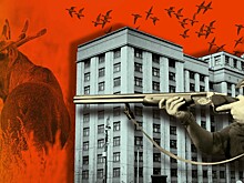 На расстоянии вытянутого ствола. В России разрешили охоту на сельхозземлях вблизи сел