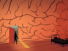 Ученые выяснили, зачем люди повторяют действия, даже когда это вредит