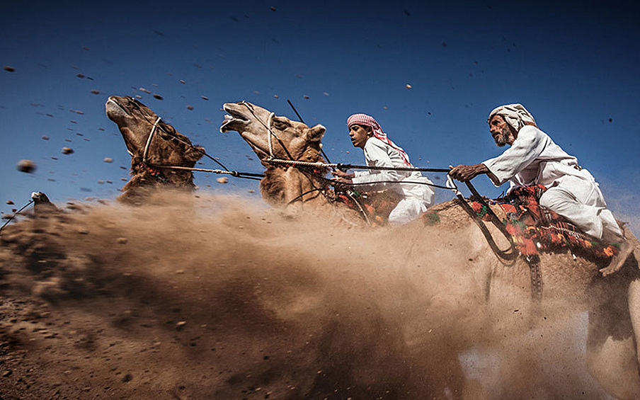 3 место: верблюжьи бега в Омане