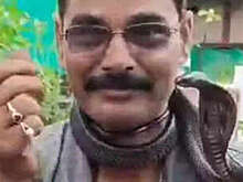 В Индии мужчина снимал видео со спасенной им коброй и вскоре умер от ее укуса