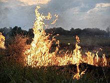 В октябре на пожарах в Новосибирской области погибли 8 человек