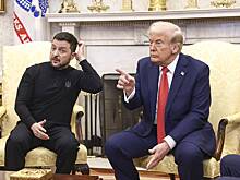 В США сообщили о желании Трампа добиться ухода Зеленского