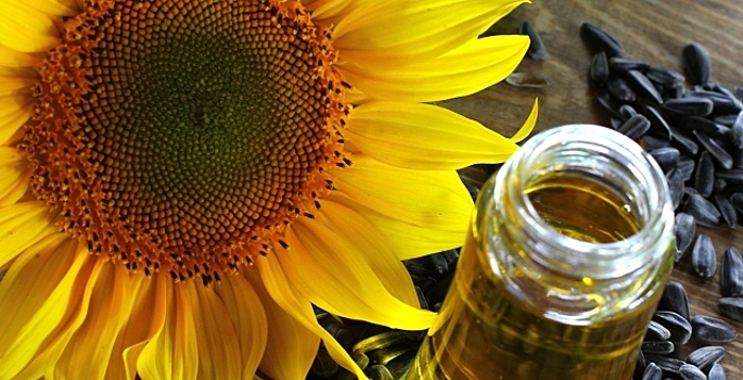 Эксперт: избыток подсолнечника может привести к снижению цен на масло