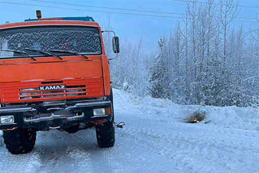Водитель грузовика сжег свои вещи, чтобы не замерзнуть на трассе в ХМАО