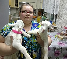 Теперь это Таня, Галя и Валя: в Челябинской области спасли новорожденных козлят, оставленных замерзать в мусорном баке