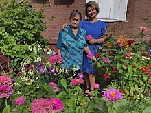 Жительница Савёлок выращивает у дома красивейшие цветы!