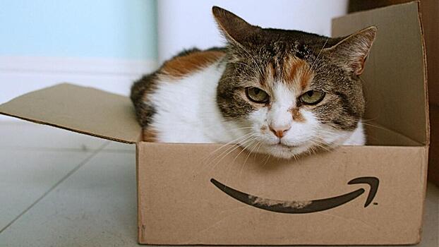На Amazon подали в суд за продажу опасных товаров