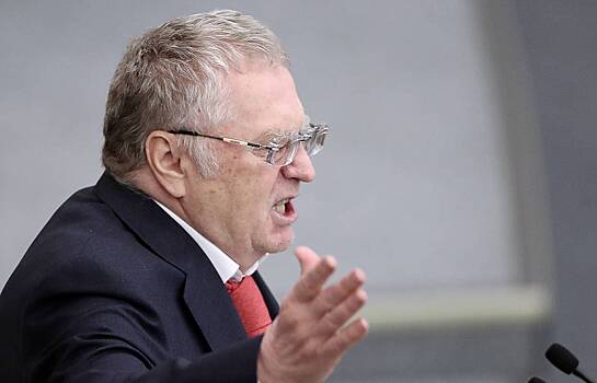 Жириновский назвал опасность закона о домашнем насилии
