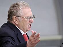 Жириновский предложил существенно снизить цену на бензин