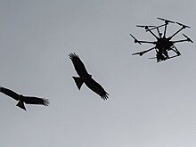 Дроны возле военных баз разрешили сбивать в США