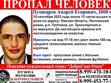 В Омской области пропал подросток