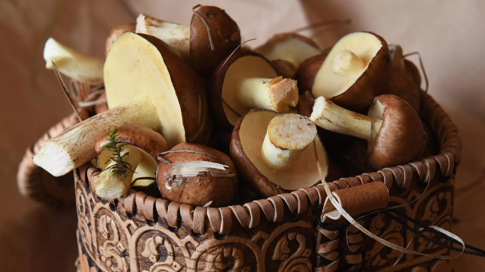 В российском лесу началась охота на грибников при помощи гранат