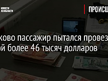В Пулково пассажир пытался провезти с собой более 46 тысяч долларов