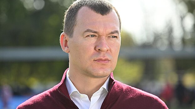 Дегтярев о допуске россиян: «Надо в любую щелочку, в любую прогалину нам идти, идти и идти. Заходить и раздвигать, раздвигать и раздвигать»