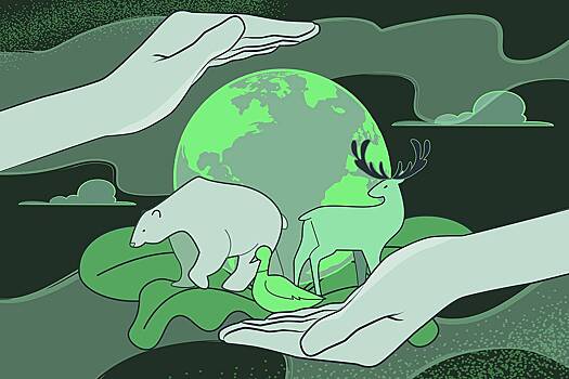 Экотуризм набирает популярность во всем мире. Что это и правда ли он помогает природе?