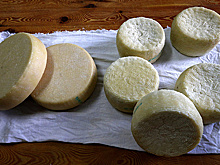 Сыр наш: как помогли отрасли три года продуктового эмбарго