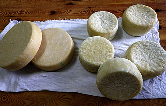 Сыр наш: как помогли отрасли три года продуктового эмбарго