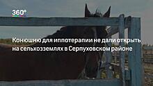 Хозяйка сказочной конюшни создала под Петербургом мотоконный театр