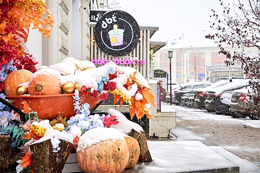 В Омске на новой неделе усилятся осадки