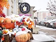 В Омске на новой неделе усилятся осадки