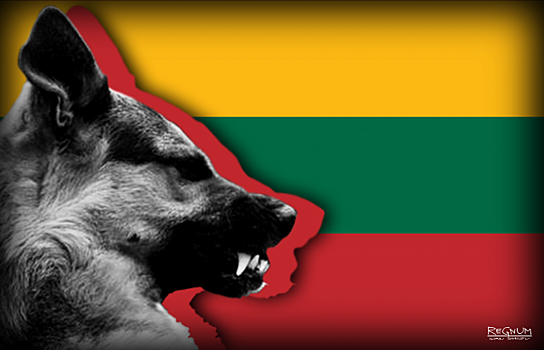 Атаки на Китай принесут Литве обезлюдение и бедность