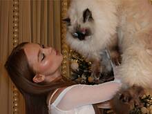 Дочь Виталия Гогунского отменила сольный концерт в Москве