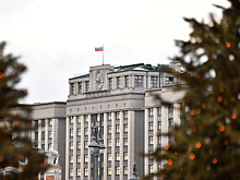 В России высказались о влиянии заявления Японии по Курилам на заключение мира