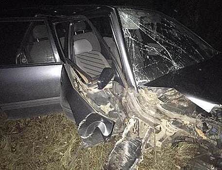 В Озёрском районе Nissan врезался в дерево, водитель получил травмы