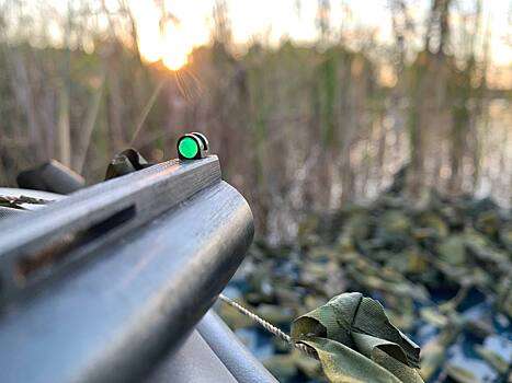 В Новосибирской области признали успешным эксперимент с электронными разрешениями на охоту