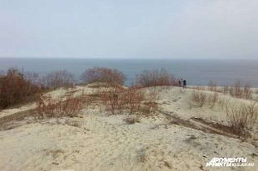 Туристы заплатят штрафы за прогулки по уникальным дюнам Куршской косы
