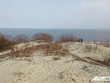 Туристы заплатят штрафы за прогулки по уникальным дюнам Куршской косы