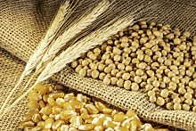 Мировое производство зерна снизится за счет пшеницы