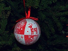 Парк «Северное Тушино» в СЗАО представит новогоднюю онлайн-программу