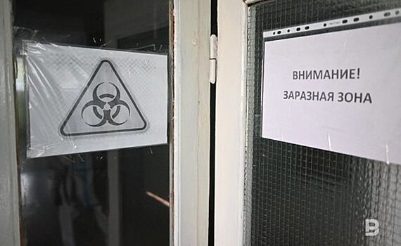 Казань выделит на санитарно-противоэпидемические мероприятия 2,3 млн рублей