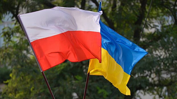 Историк Гаспарян рассказал, почему Польша пока не предъявляет претензии Украине за Волынскую резню