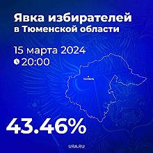 В Тюменской области на выборах президента проголосовали 43% избирателей