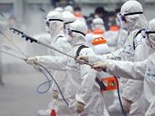 Канцлер Австрии распорядился закрыть все школы из-за коронавируса