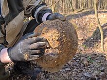 Поисковый отряд «Совесть» обнаружил в лесу останки и вещи солдат Красной армии