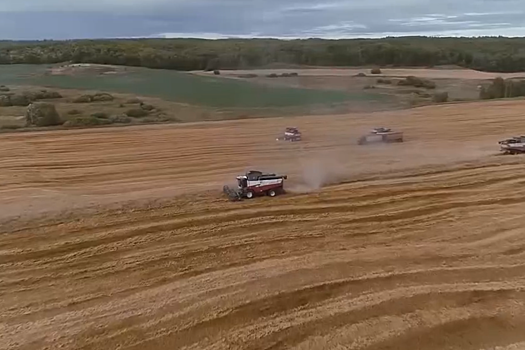 В Мордовии активно реализуется нацпроект «Международная кооперация и экспорт»