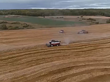 В Мордовии активно реализуется нацпроект «Международная кооперация и экспорт»