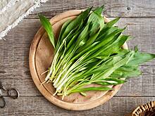 Черемша: полезные свойства и вред для организма