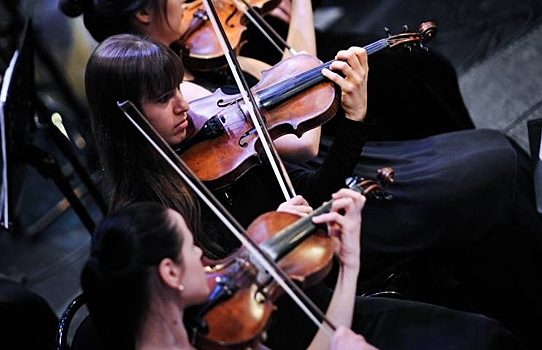 Концертмейстер Мюнхенского филармонического оркестра даст мастер-класс скрипачам Приморья