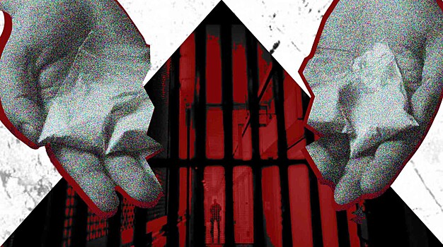 Пропагандистов от наркобизнеса предлагают сажать минимум на пять лет