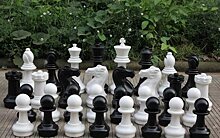 В Лианозовском парке сыграют в большие шахматы