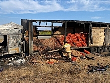 Два человека погибли в ДТП с фурой на трассе в Волгоградской области