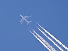 Летом из Тамбова запустят прямые перелёты в Крым