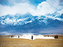 Торговля в Кашгаре развивалась со времен Шелкового пути