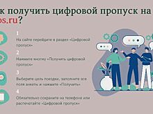 В Москве оформили уже 3,2 млн цифровых пропусков для перемещения по городу