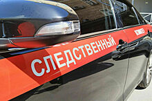 В Ростовской области подростка арестовали на два месяца по делу об избиении людей