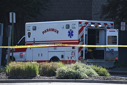 2f7ddc3c5bdac02711d3c28d590767bd?img-format=auto&img-1-resize=height:350,fit:max&img-2-filter=sharpen